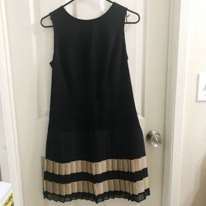 Ann Taylor Loft Cute & Comfortable Pleated Dress